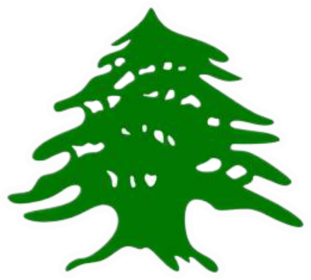 961 emote for Discord