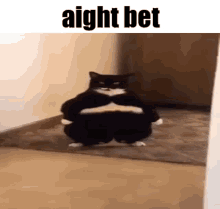 Cat emote for Discord