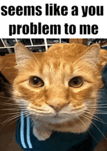 youproblem static emote