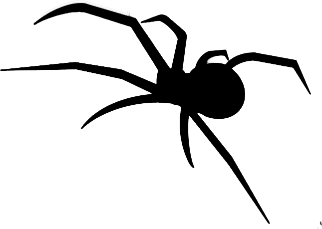 spider emote for Discord