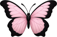 Pink_black_butterfly emote for Discord