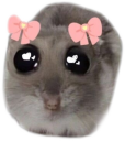justagirl emote for Discord