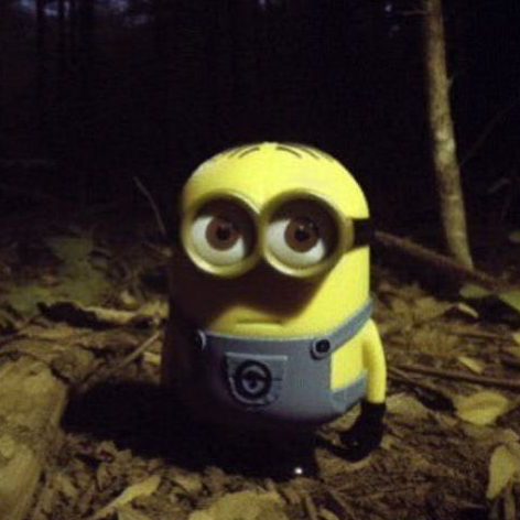Minion emote for Discord