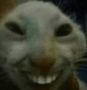 catsmile emote for Discord