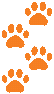 Orangepaws emote for Discord