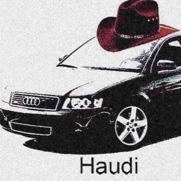 Haudi emote for Discord