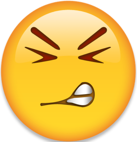 cant_take_this emote for Discord
