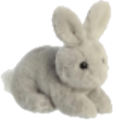 bunnyplush emote for Discord