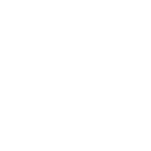 admin_white emote for Discord