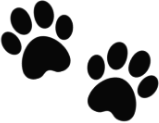 black emote for Discord