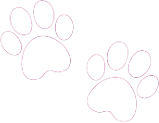 white emote for Discord