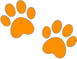 orange emote for Discord