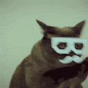 ShakesHeadCat emote for Discord
