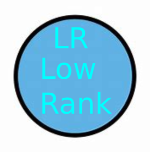 LR_TEAM emote for Discord