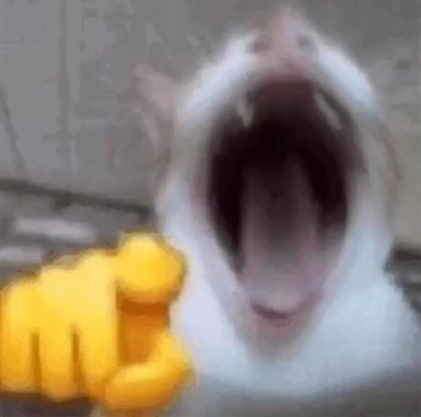 catkek static emote