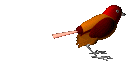 WeirdBird emote for Discord