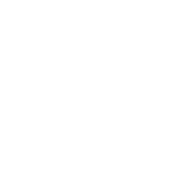 white emote for Discord