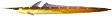 eleroo_eel emote for Discord