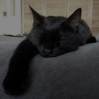 xan static emote
