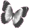 whitebutterfly emote for Discord