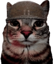cat_soldjacat emote for Discord