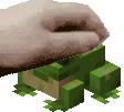 pet_the_frog emote for Discord