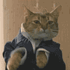 CatSuit emote for Discord