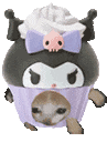 KuromiCatRun emote for Discord