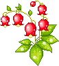 RedFlowers animated emote