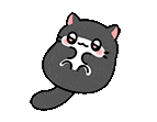 CatBelly emote for Discord