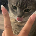 catlick static emote