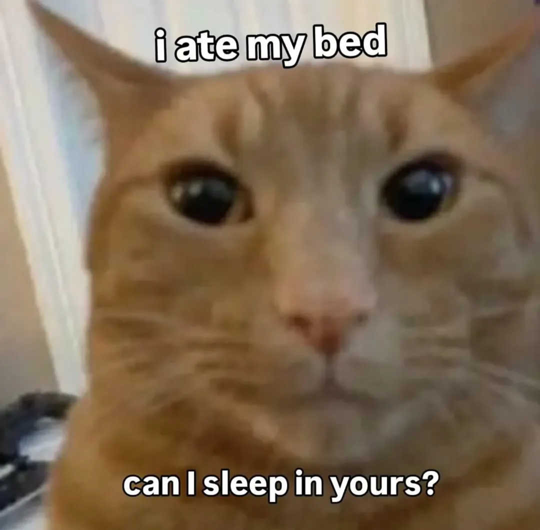 Catinbrd emote for Discord