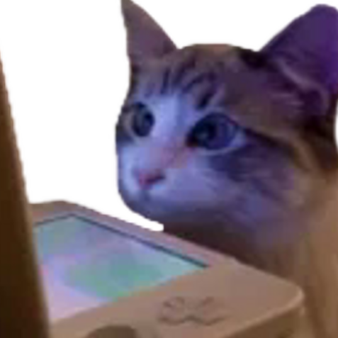 CatDS static emote