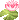 lillypad emote for Discord