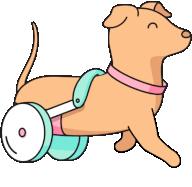 WheelchairPuppy emote for Discord