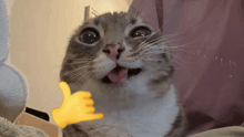 swag animated emote