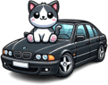 BmwE39Cat emote for Discord