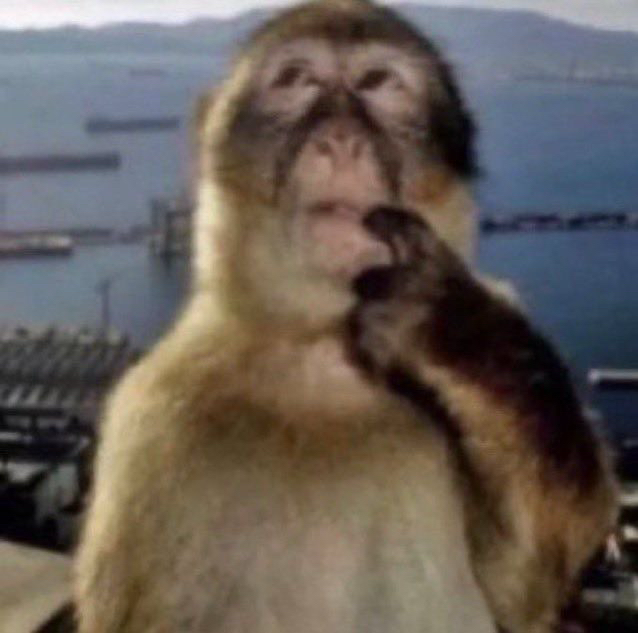 monkeyhuh emote for Discord