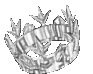 Crown emote for Discord
