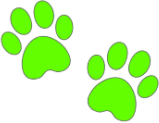 green emote for Discord