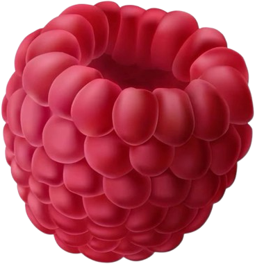 raspberry_emoji emote for Discord