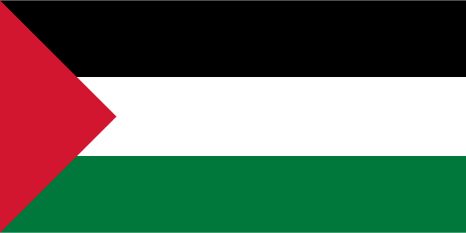 Palestine_flag emote for Discord