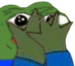pepecoverface emote for Discord