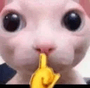bingus_shush emote for Discord