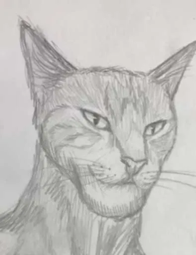 chad_cat emote for Discord