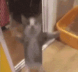happycat emote for Discord