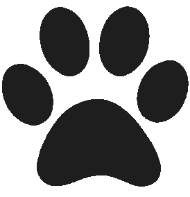 black emote for Discord