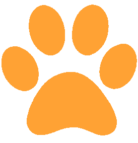 orange emote for Discord