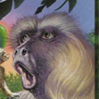 mamaco_pog emote for Discord