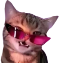 catvogue emote for Discord